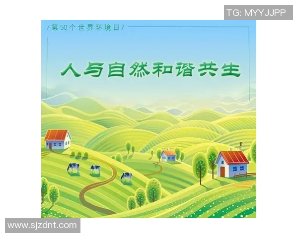 以社会责任为核心推动力,建设和谐共生的未来社会与个人发展的新路径 以社会责任为核心推动力,建设和谐共生的未来社会与个人发展的新路径