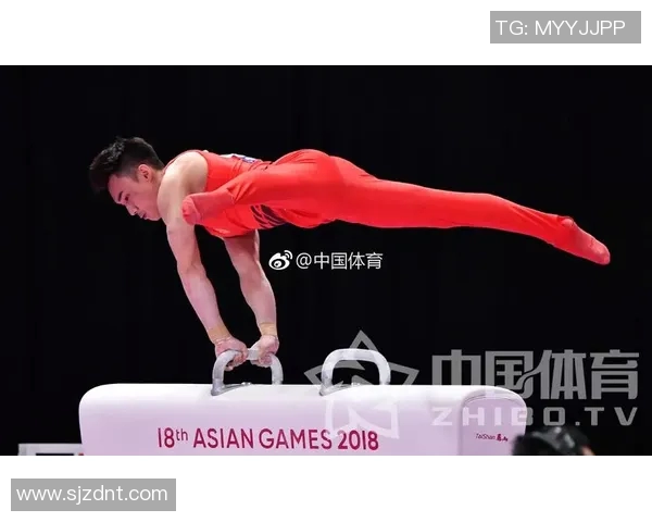 竞技体操评分体系解析与提升：从动作标准到难度分数的全面解读