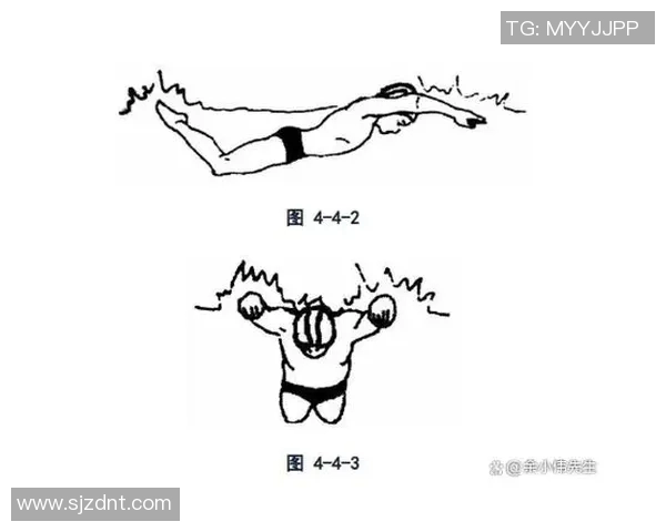 蝶泳比赛规则详解及其技术要点分析