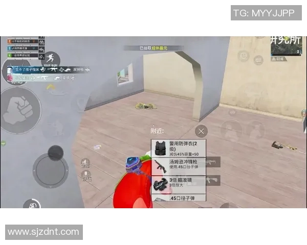 和平精英热议BLG选手个人能力引发争议与讨论