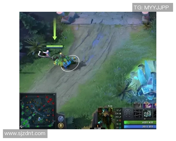 王伟独家揭秘DOTA2游戏技巧与心得分享助你提升战斗水平