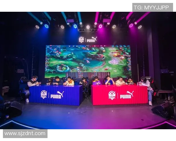 TES战队崛起之路：DOTA2赛场上的荣耀与挑战全记录