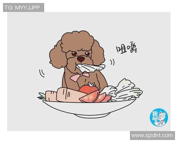 杨静独家分享篮球心得与技巧助你提升球技的全面指南 杨静独家分享篮球心得与技巧助你提升球技的全面指南