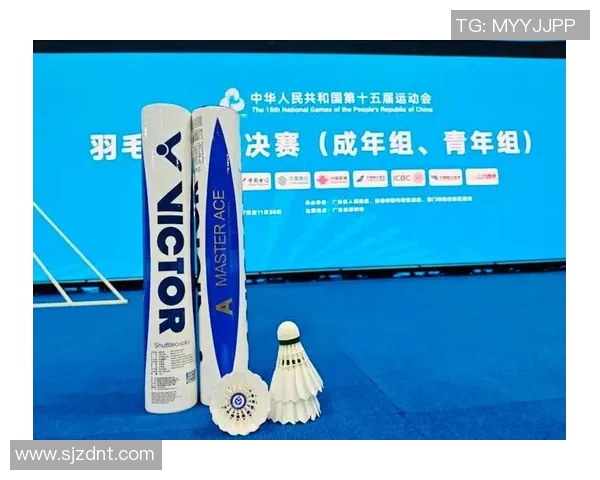 武汉羽毛球队荣登全国羽毛球配合排行榜第二名展现实力与团队默契 武汉羽毛球队荣登全国羽毛球配合排行榜第二名展现实力与团队默契