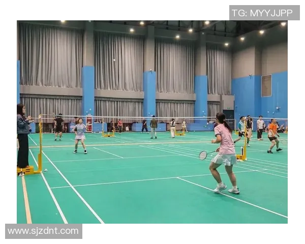 深圳羽毛球队灵活性分析与战术创新的深度研究 深圳羽毛球队灵活性分析与战术创新的深度研究