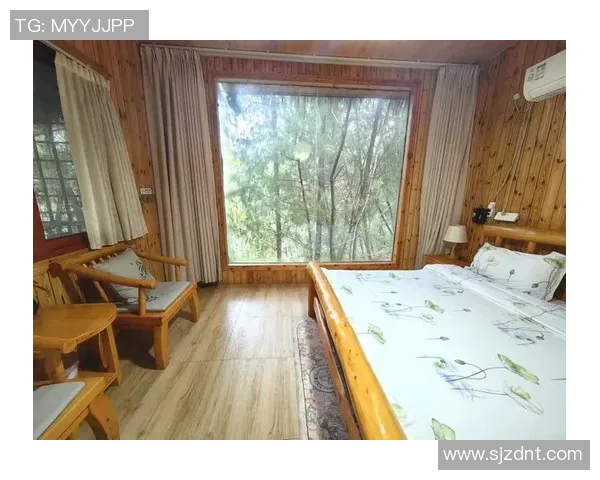 打造温馨之家体验的民宿新天地，享受独特的住宿与当地文化深度融合之旅