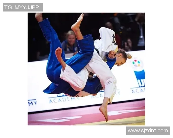 柔道技艺的传承与发展探索：从传统到现代的演变与创新