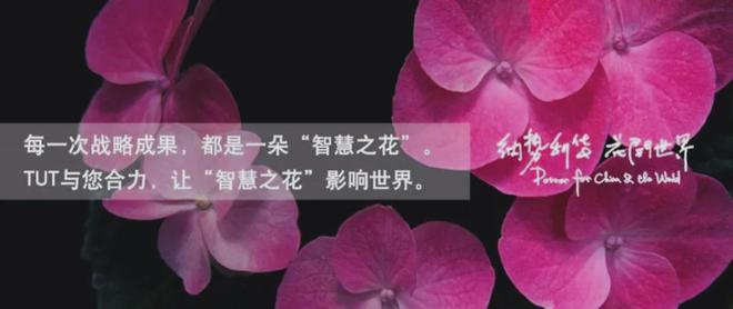 PG电子官方从小镇走向天下 宜家（IKEA）的环球化过程、品牌计谋与启迪(图7)