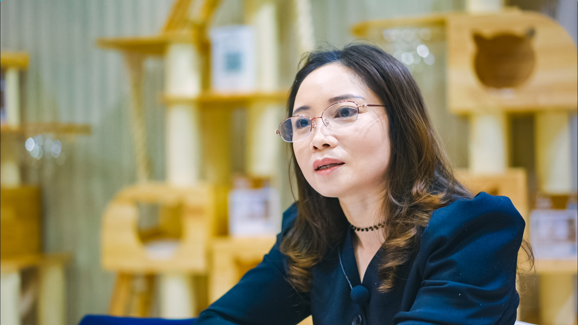 PG电子平台赫凯：打造创意家居 给萌宠“稳稳的幸运”(图2)